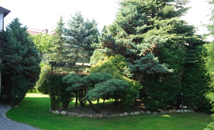 działka na sprzedaż - Jastków, Dąbrowica